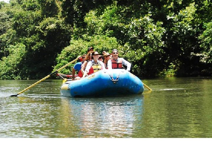 Sloths in the Rain Forest and Safari by the River  - Photo 1 of 20